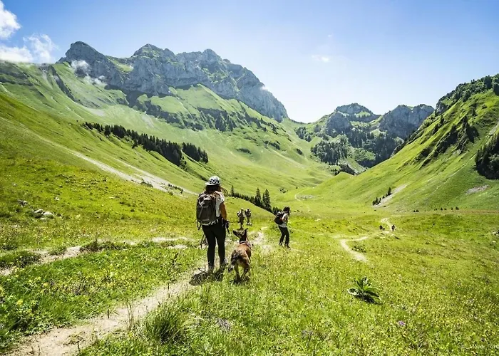 Jonquilles Jqc15 Sunny & View 4 Pers アパート シャテル